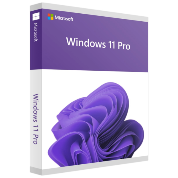 Windows 11 Pro Lifetime Online Key With Unlimited Reinstallations